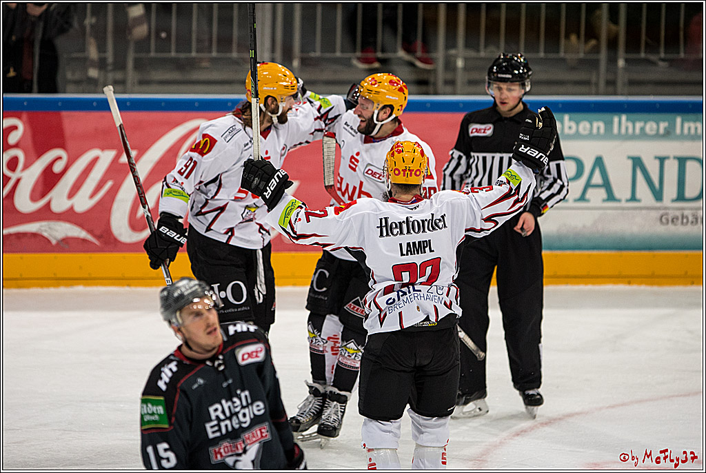 DEL, Koelner Haie - Fishtown Pinguins Bremerhaven, 29.01.2017